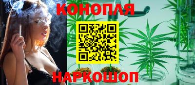 spice Кандалакша