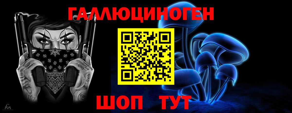дарнет шоп  Галлюциногенные грибы GOLDEN TEACHER  Вход с VPN  Курчатов 